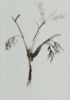 http://www.actionaqua.com/files/gimgs/th-105_glashaus 11invert.jpg